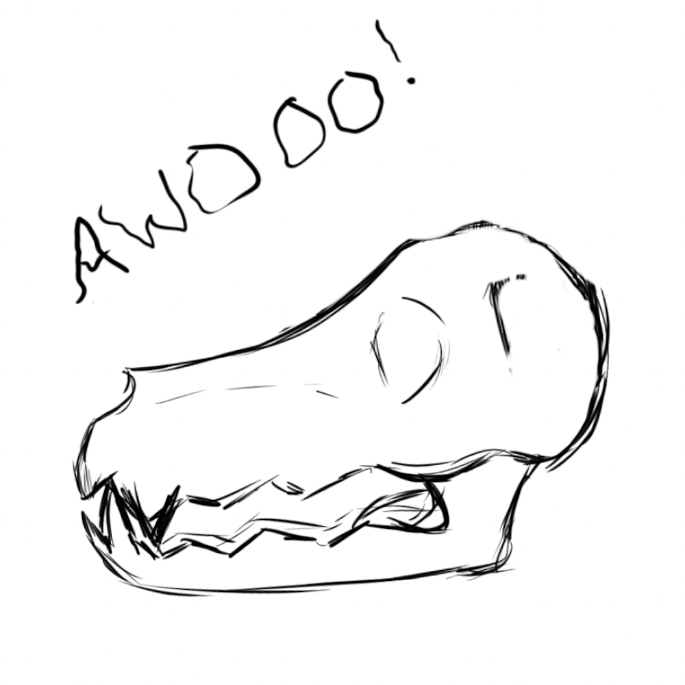 Canine Skull Sketch