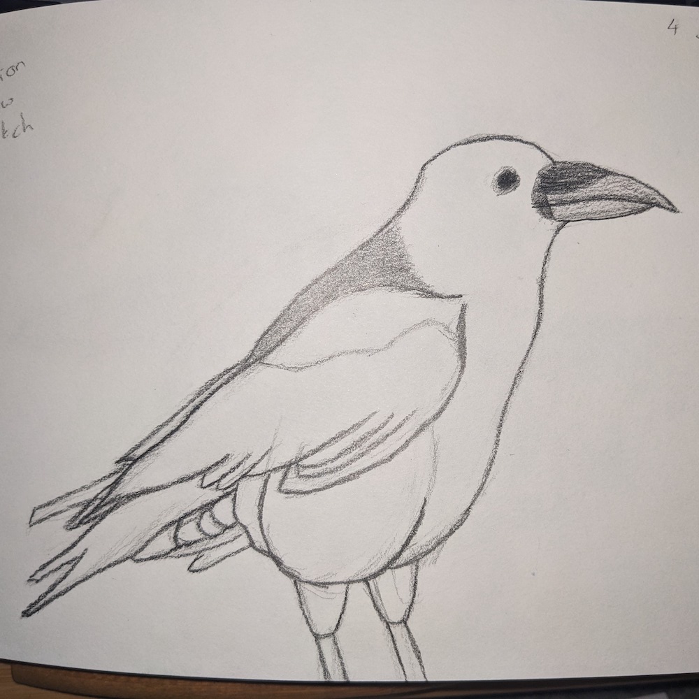 Crow Pencil Sketch