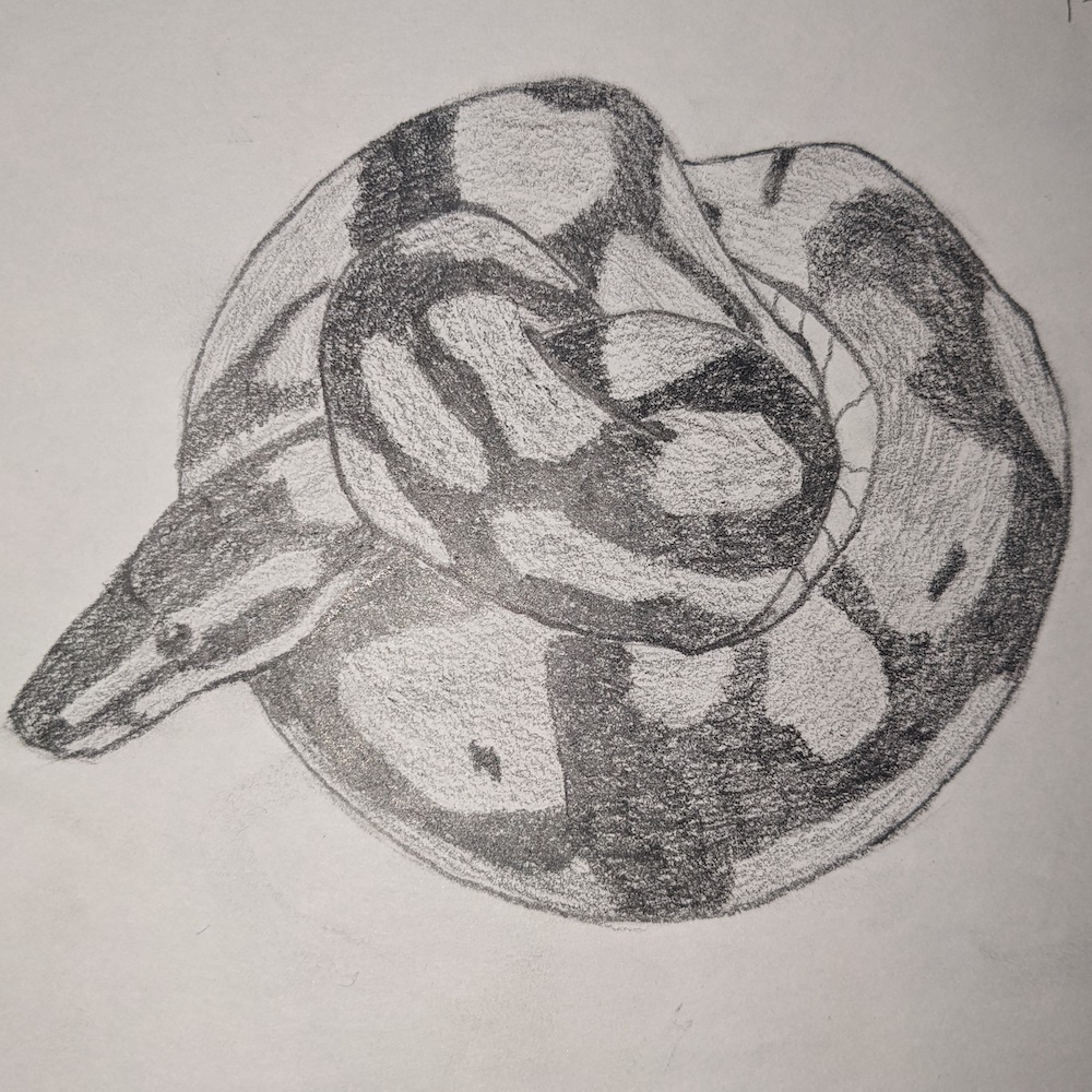 Python Pencil Sketch