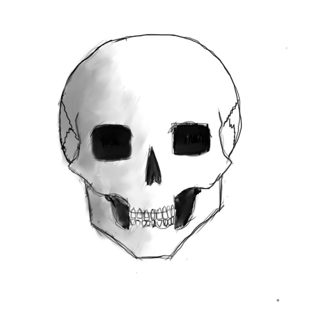 Skull Sketch